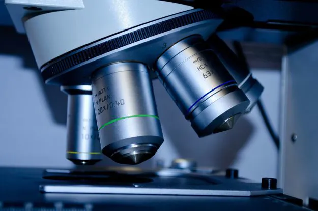 Analisi alimentari chimiche, parassitologiche e microbiologiche