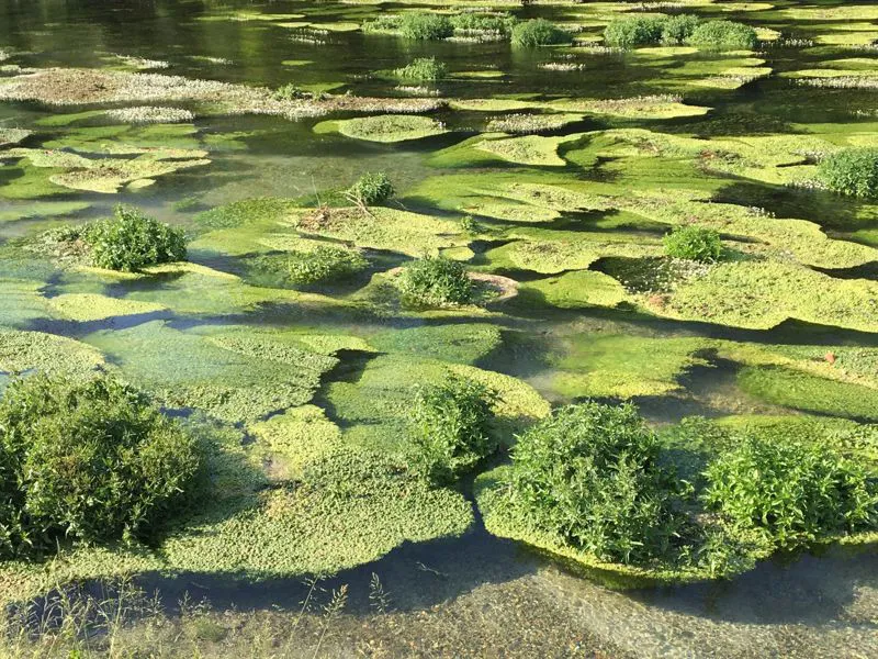 AGGIORNAMENTO NORMATIVO AMBIENTE e SICUREZZA APRILE 2020