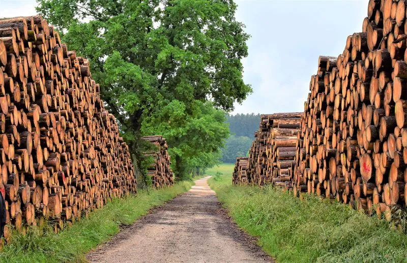 AGGIORNAMENTO NORMATIVO AMBIENTE e SICUREZZA GIUGNO 2020