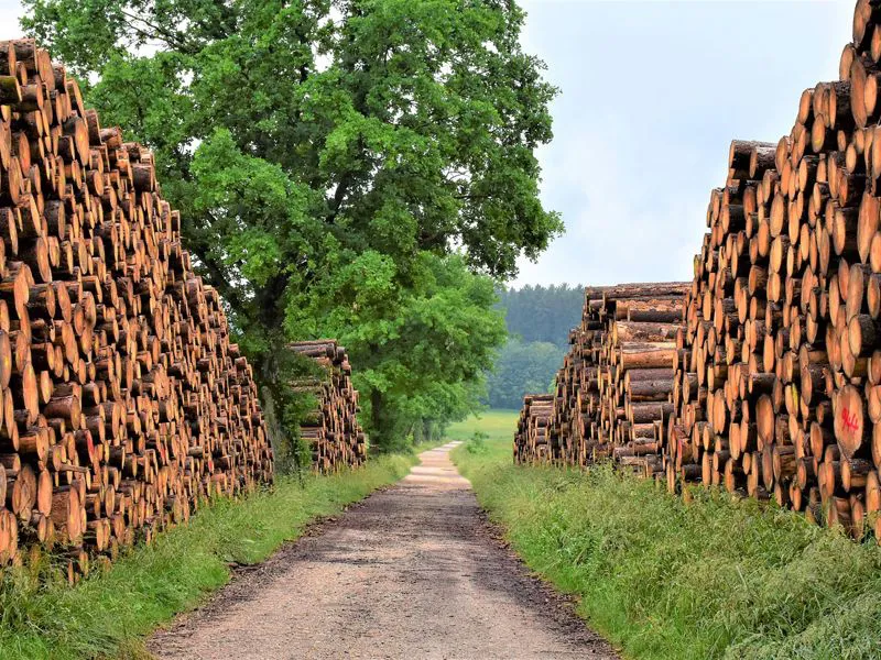 AGGIORNAMENTO NORMATIVO AMBIENTE e SICUREZZA GIUGNO 2020