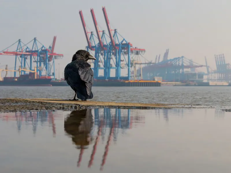 AGGIORNAMENTO NORMATIVO AMBIENTE e SICUREZZA LUGLIO 2020